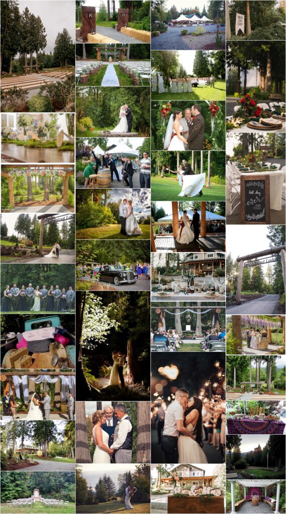 The Lookout Lodge Snohomish Wedding Venue Outdoor Trees Forest Flowers Logs
